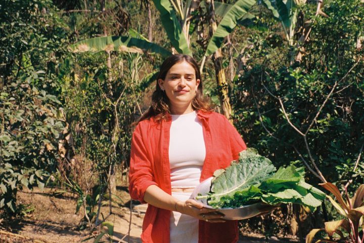 Person holding a large bowl of leafy greens in a garden with banana trees.