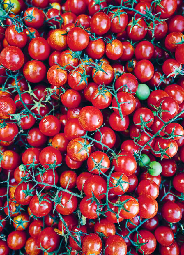 Gennaro Contaldo's Hidden Italy